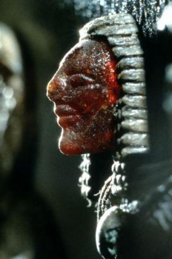 Bernsteingesicht der Sphinx