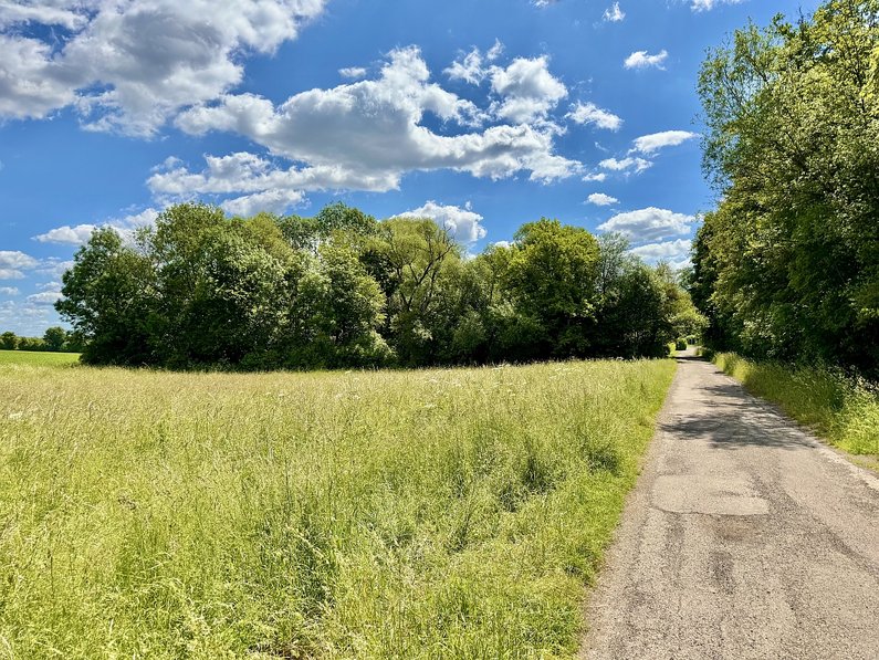 Feuchtgebiet Lochwiesen
