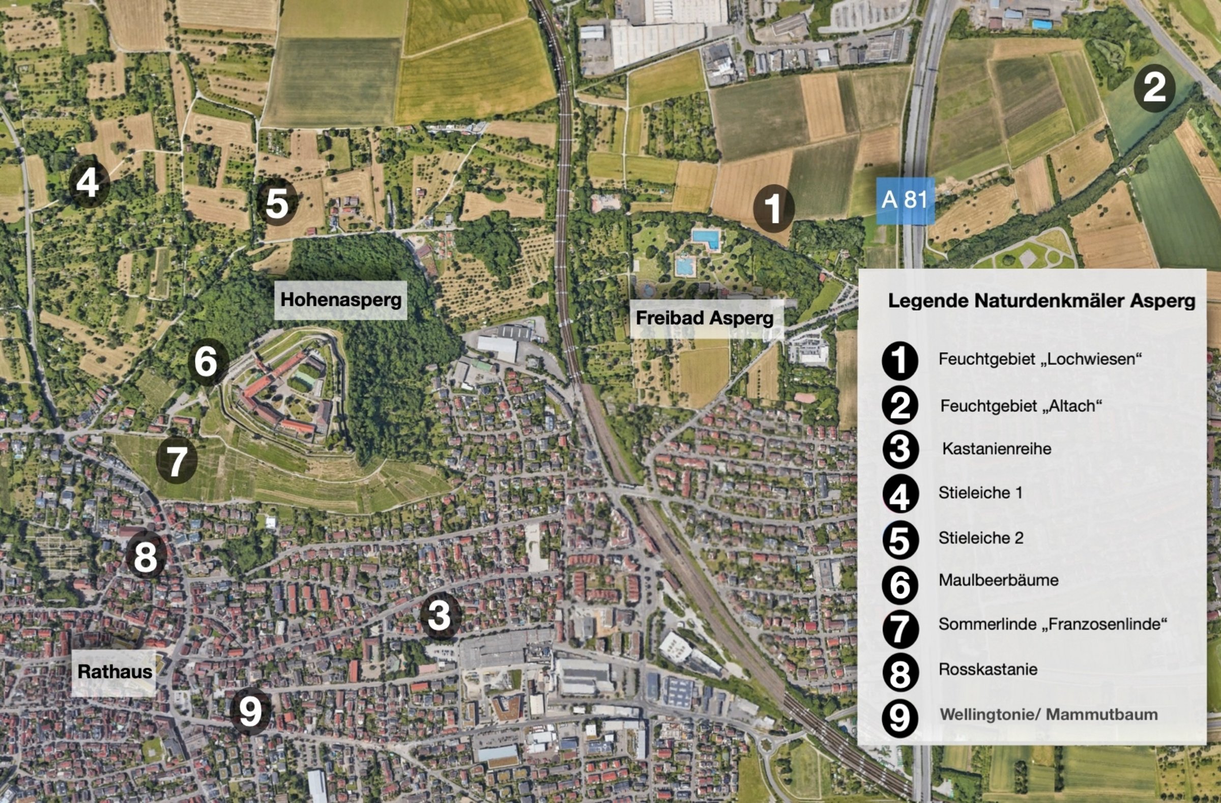 Lageplan der Asperger Naturdenkmäler